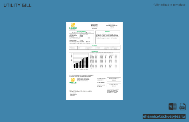 Beispielrechnung der Panama Nexsun Power Corporation